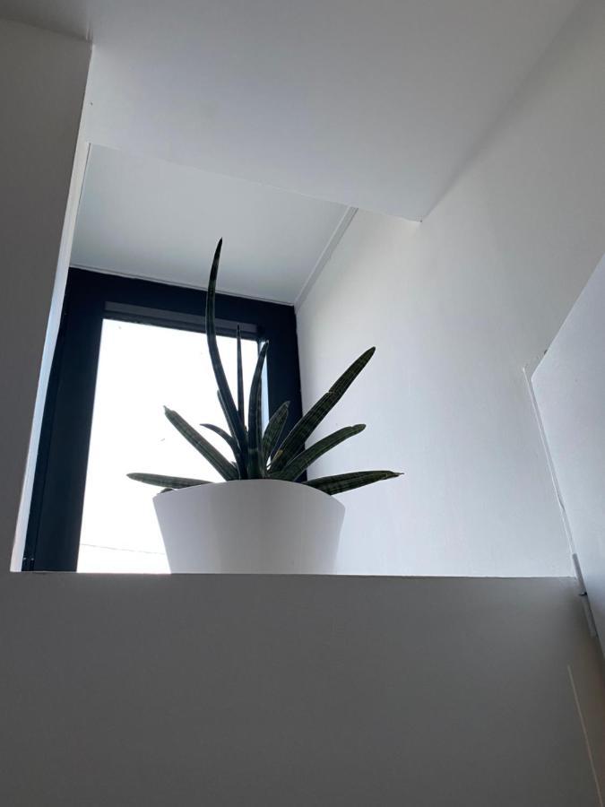 Studio Indre Climatise, La Halte De Cuze, Aux Abords De La Loire A Velo Huismes Exteriör bild