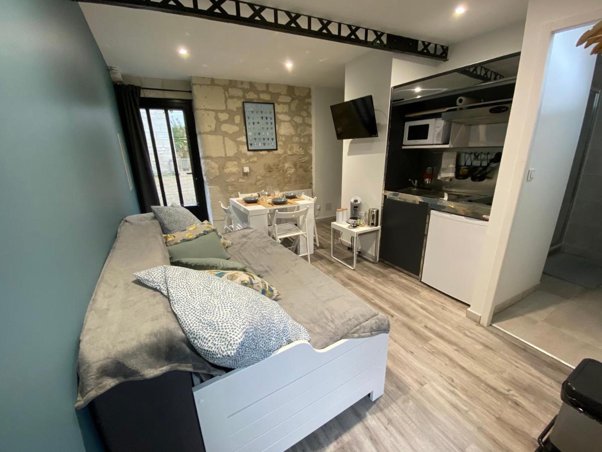 Studio Indre Climatise, La Halte De Cuze, Aux Abords De La Loire A Velo Huismes Exteriör bild