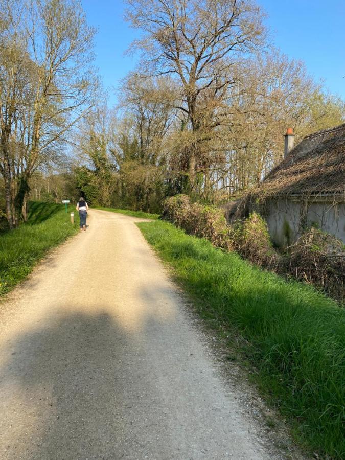 Studio Indre Climatise, La Halte De Cuze, Aux Abords De La Loire A Velo Huismes Exteriör bild
